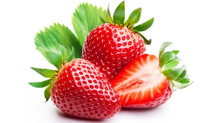 بذر توت فرنگی کاماروسا خرید، قیمت، نحوه کاشت و نگهداری